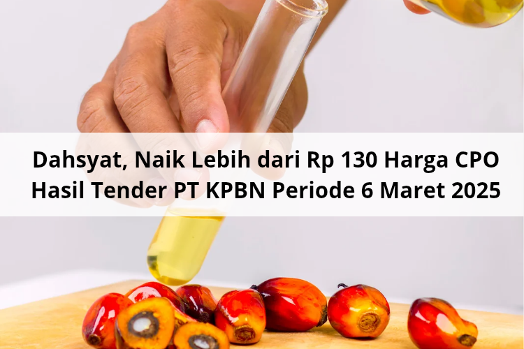 Dahsyat, Naik Lebih dari Rp 130 Harga CPO Hasil Tender PT KPBN Periode 6 Maret 2025