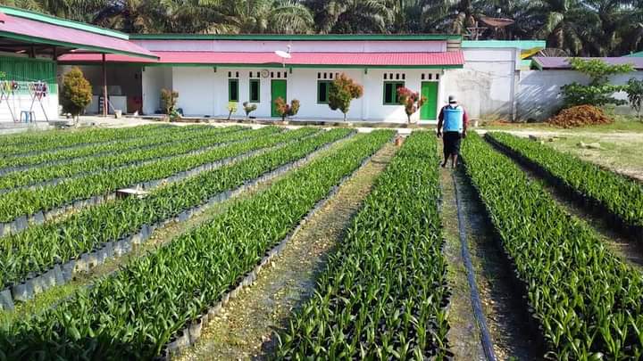 UJI DNA UNTUK JAMIN PETANI PSR MENDAPAT BENIH YANG BAIK DAN BENAR