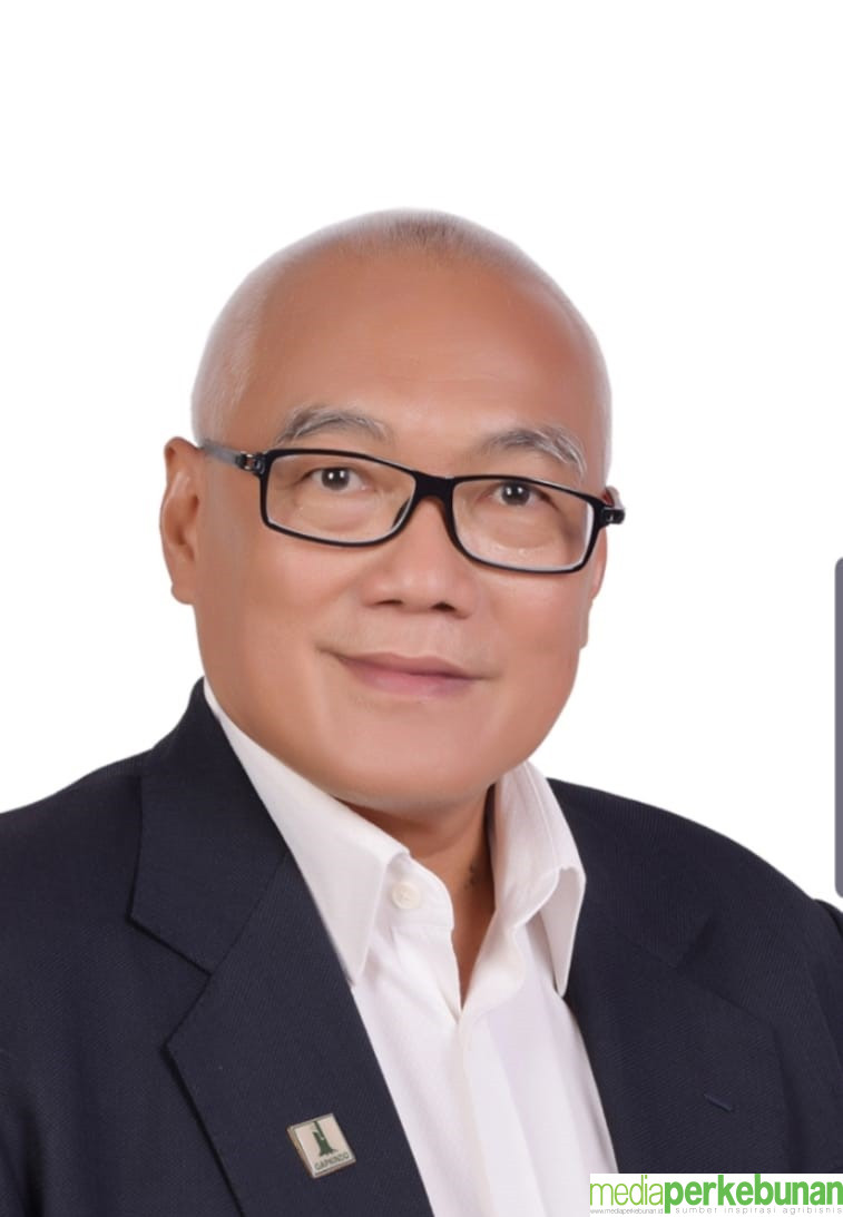 GAPKINDO MINTA PEMERINTAH FOKUS PADA PEREMAJAAN KARET RAKYAT