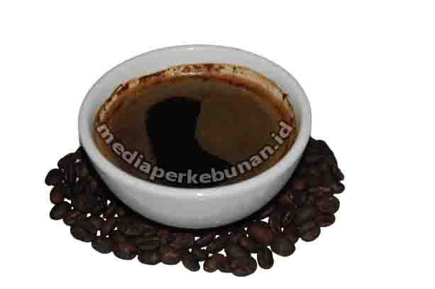 KPT Turut Tingkatkan Produksi Kopi