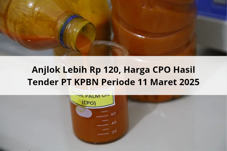 Anjlok Lebih Rp 120, Harga CPO Hasil Tender PT KPBN Periode 11 Maret 2025