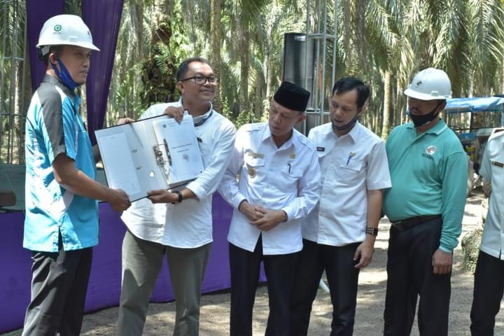 PT MANDALA SENA NUSANTARA LAKUKAN TUMBANG PERDANA DI PELALAWAN