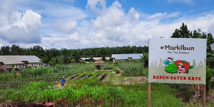 Antisipasi Dampak Terburuk Covid-19, BGA Group Tingkatkan Ketahanan Pangan Bersama Masyarakat