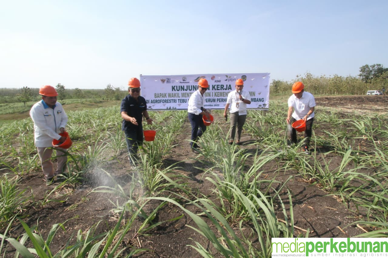 <strong>Wakil Menteri BUMN</strong><strong> I</strong><strong> Kunjungi PG </strong><strong>Gempolkrep dan Pabrik Bioethanol PT Ene</strong><strong>ro</strong>
