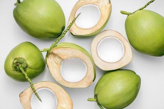 Kelapa Laku di Pasar Ekspor, Indonesia Hadapi Tantangan Peremajaan dan Benih Unggul