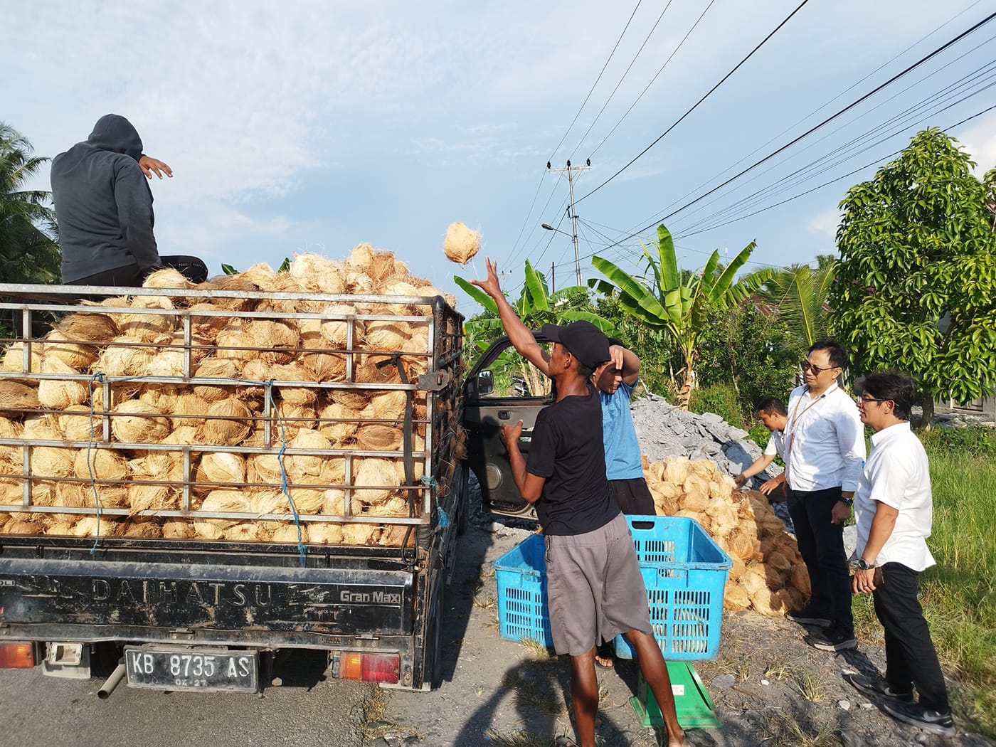 Potensi Penghasilan Petani Kelapa Dalam di Kabupaten Sambas Capai Rp 72 Juta