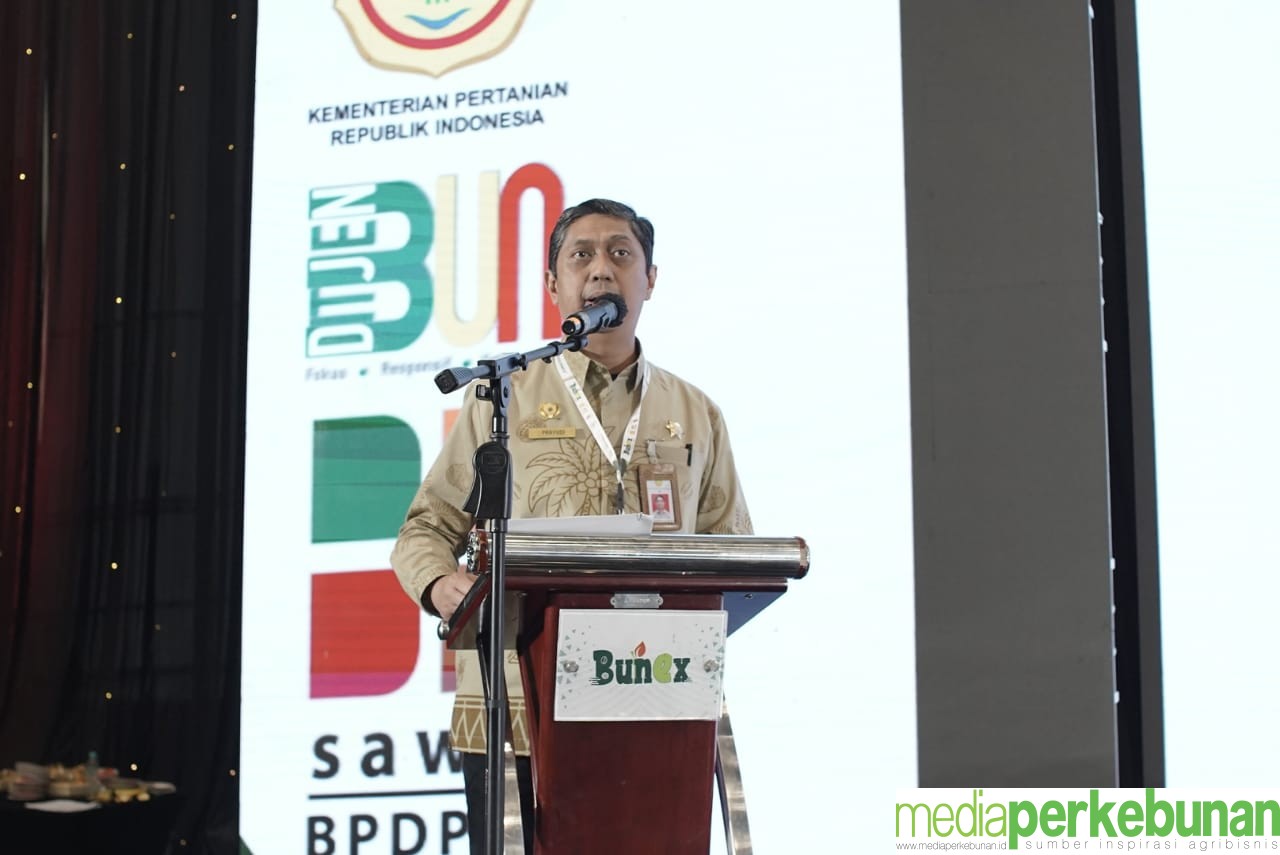 FGD dan Talkshow Ramaikan Bunex 2023, Kulik Tuntas Kelapa Sawit