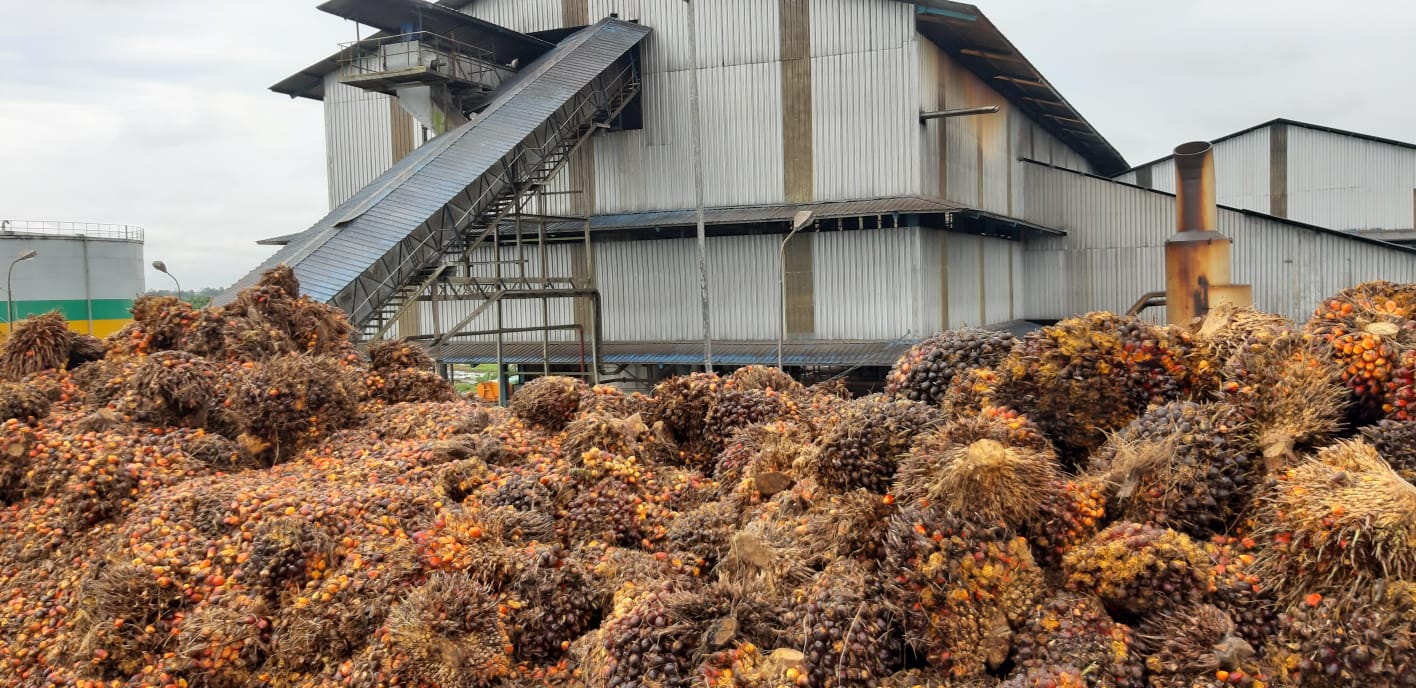DITJENBUN BENTUK SATGAS PANTAU HARGA TBS