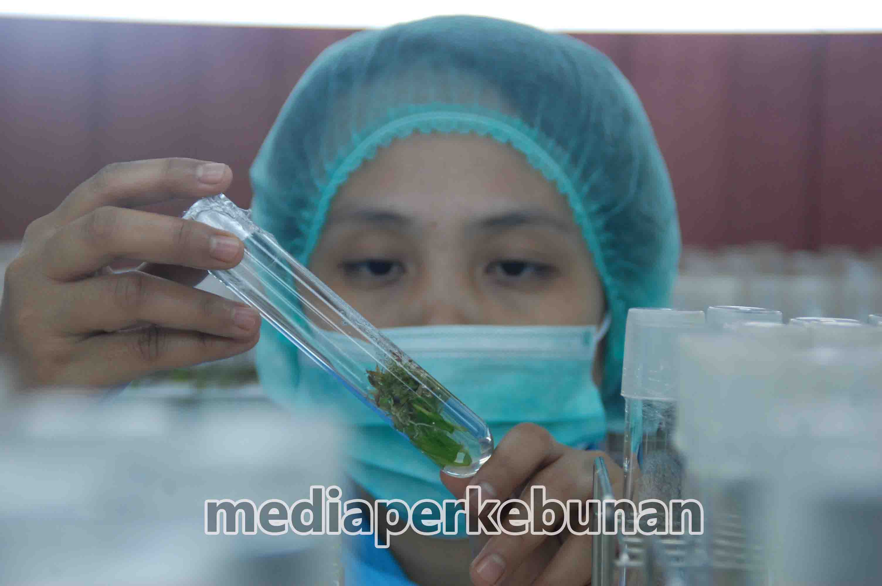 Saatnya Komersialisasi Produk Biotek di Indonesia