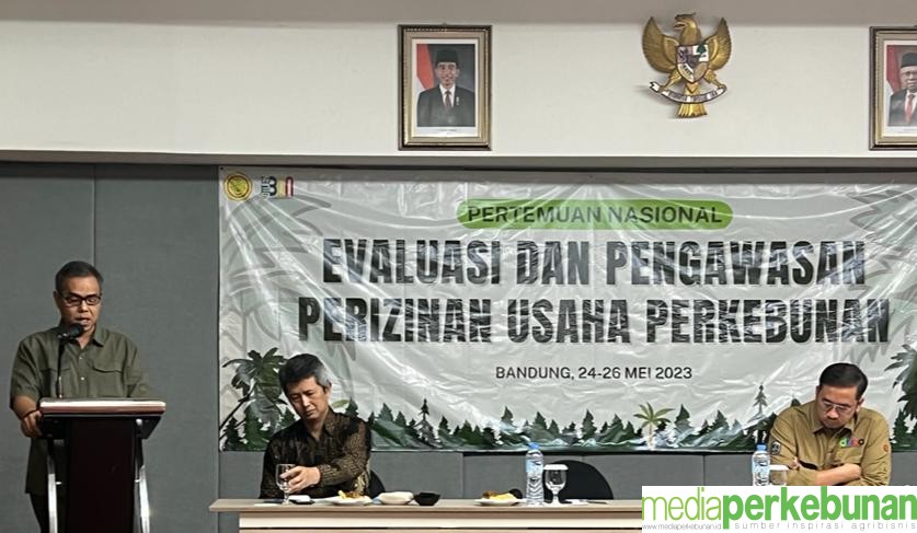 DITJENBUN MINTA PELAKU USAHA LAPOR KE SIPERIBUN