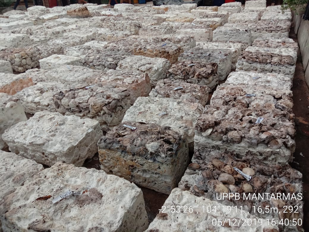 GAPKINDO MINTA  ORGANISASI SUSTAINABLE RUBBER PERHATIKAN EKONOMI PETANI