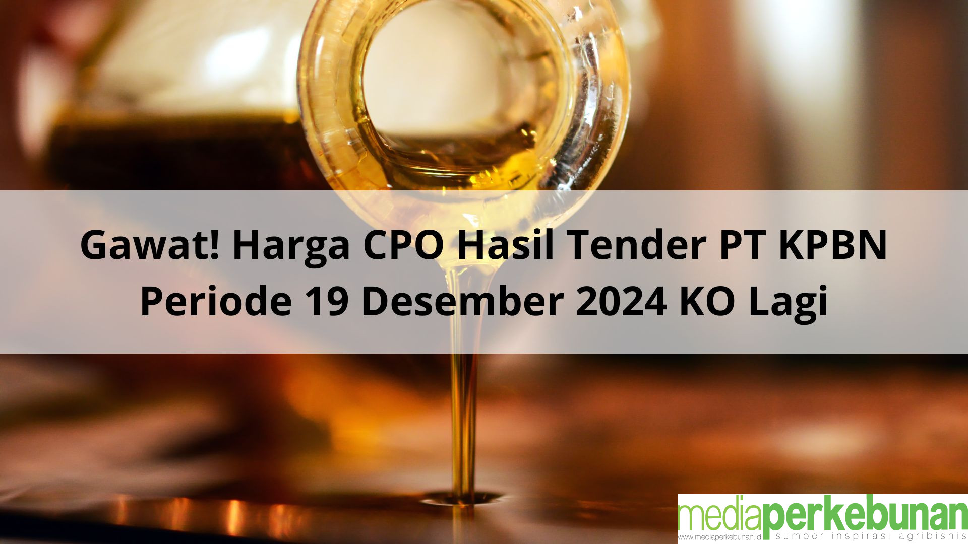 Gawat! Harga CPO Hasil Tender PT KPBN Hari Ini KO Lagi