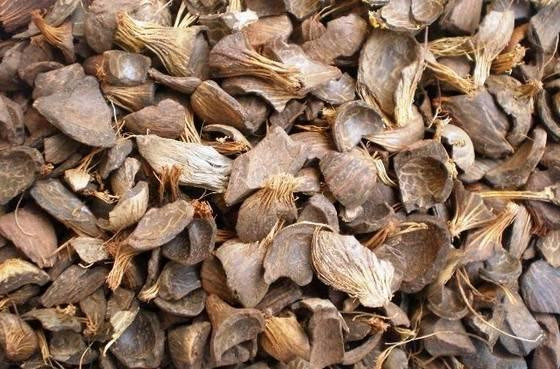 Mengenal Cangkang Kelapa Sawit, Apa Saja Manfaatnya?