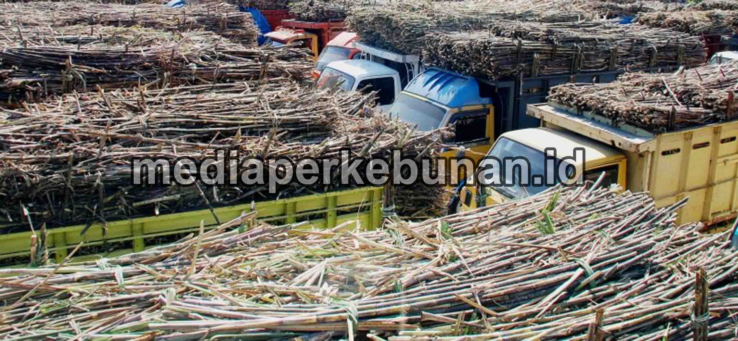 Pertamina Kucurkan Rp 21,5 Miliar untuk Petani Tebu di Jawa Timur