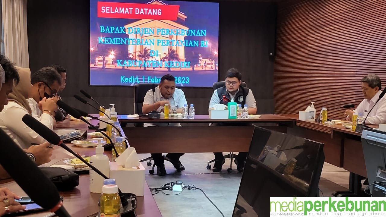 Sinergi Dirjen Perkebunan dan Bupati Kediri Perkuat Pengembangan Perkebunan