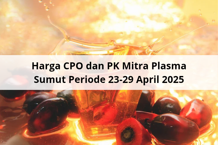 Merujuk Hasil Tender PT KPBN Periode 22 April 2025, Ada Kecenderungan Harga PK Menguat