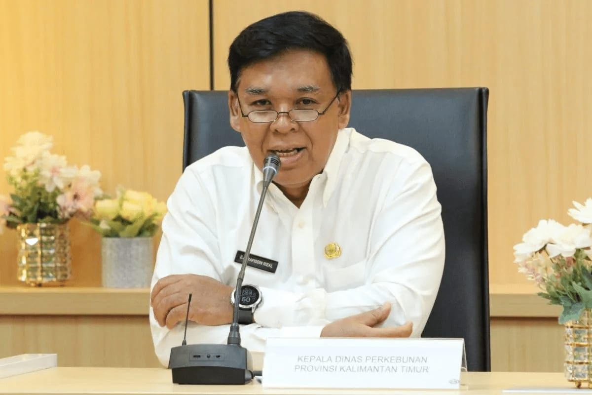 Teknologi dan Hilirisasi Perkebunan Jadi Fokus Utama RPJMD Kaltim