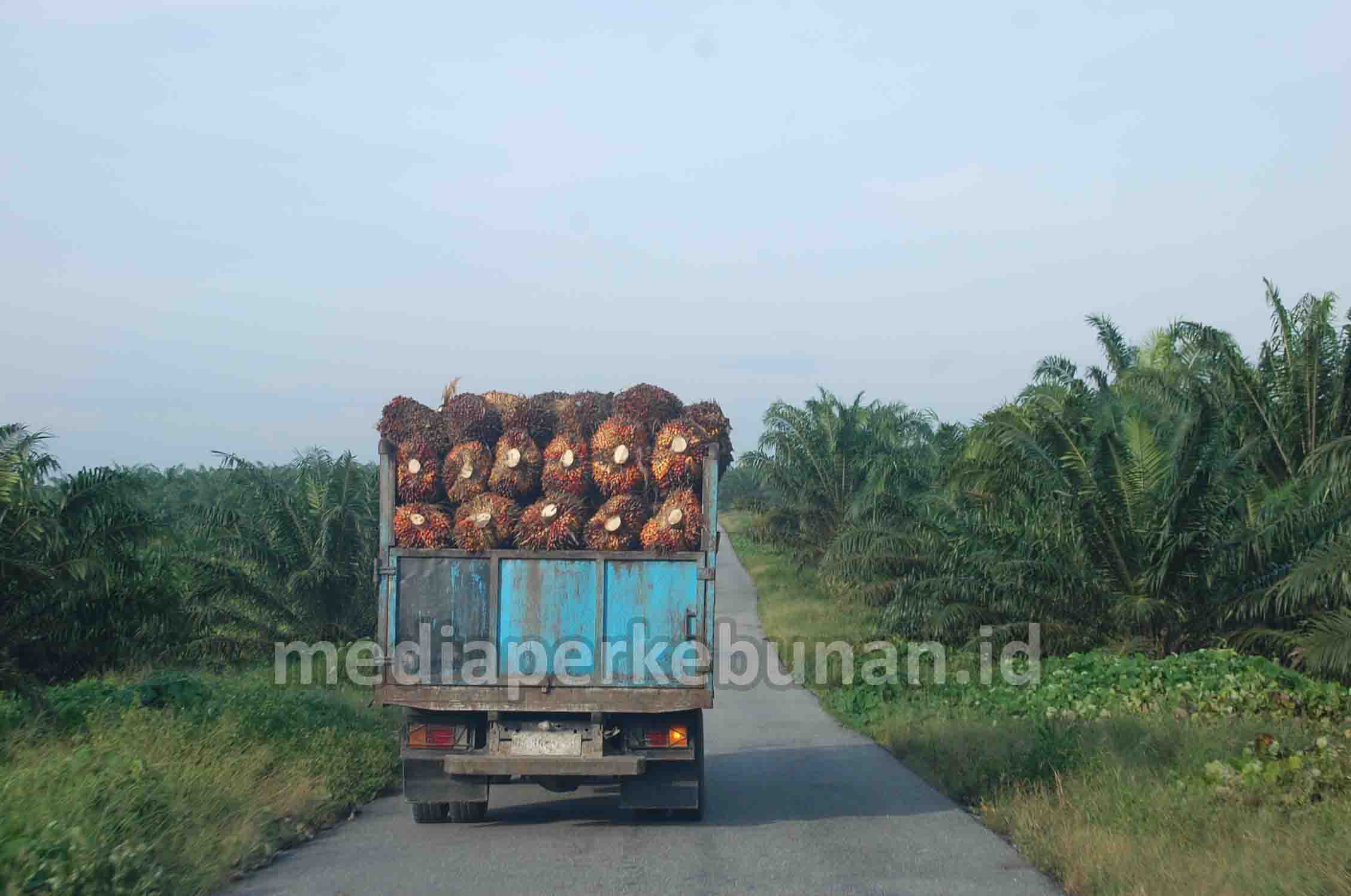 Kebijakan Truk ODOL Jangan Menurunkan Daya Saing Industri