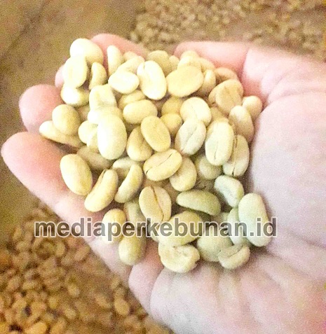 Di Turki, Kopi Sumedang Disukai
