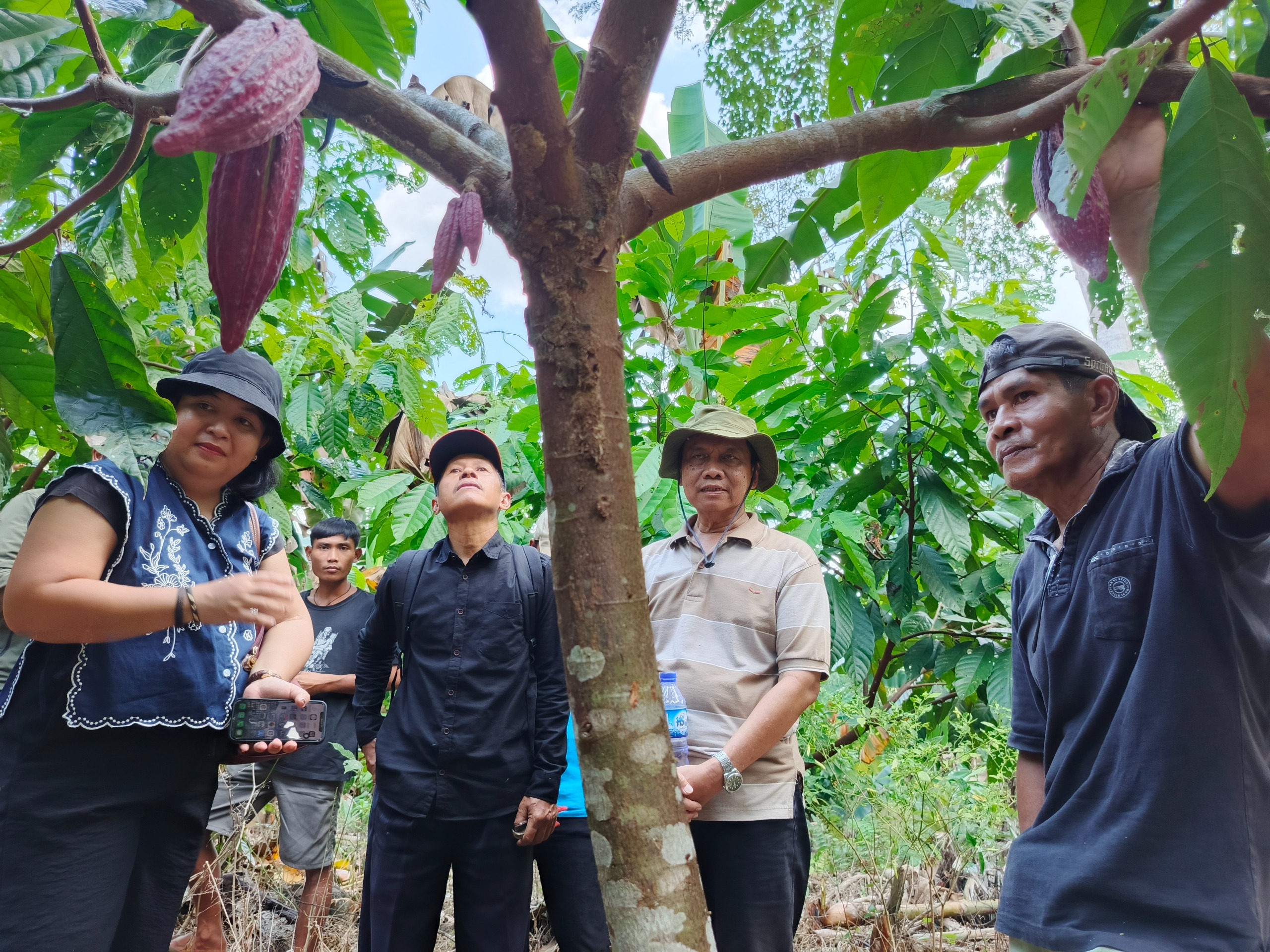 LPHD dan BGA Lakukan Kolaborasi: Rehabilitasi Hutan Lewat Kakao dan Agroforestry di Kalbar
