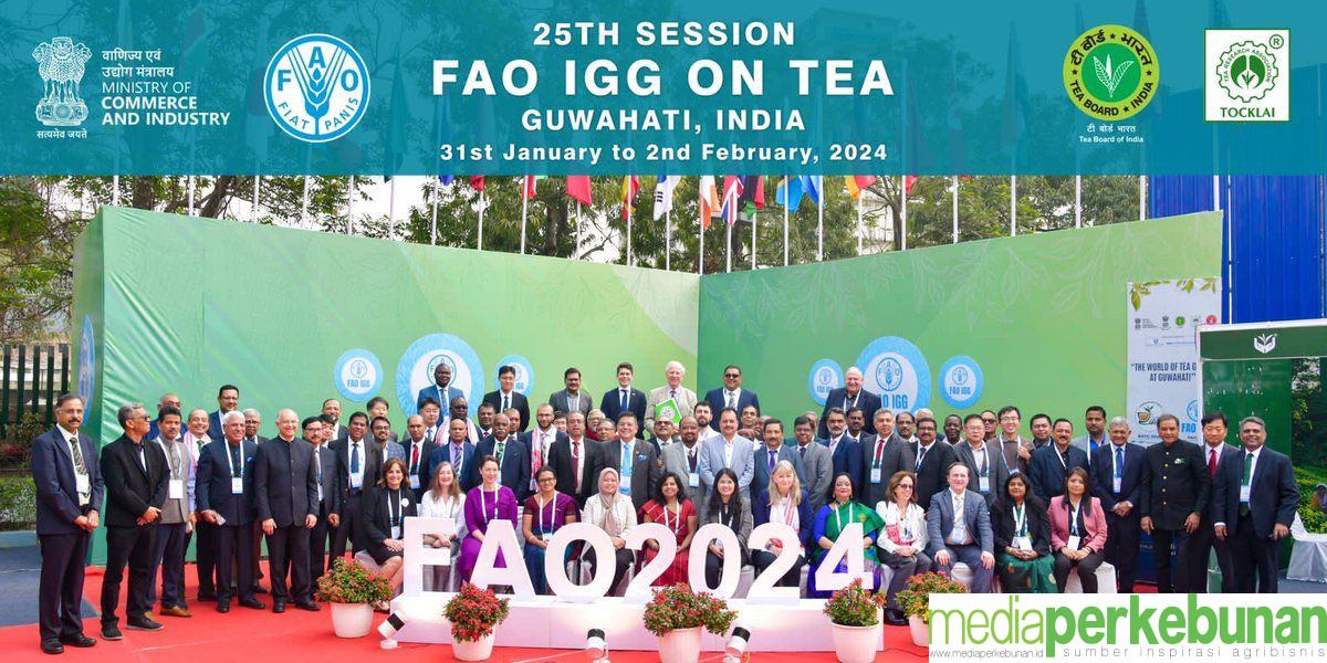 Kementan Hadiri the 25th FAO IGG on Tea di India, Perkuat Potensi Teh Indonesia