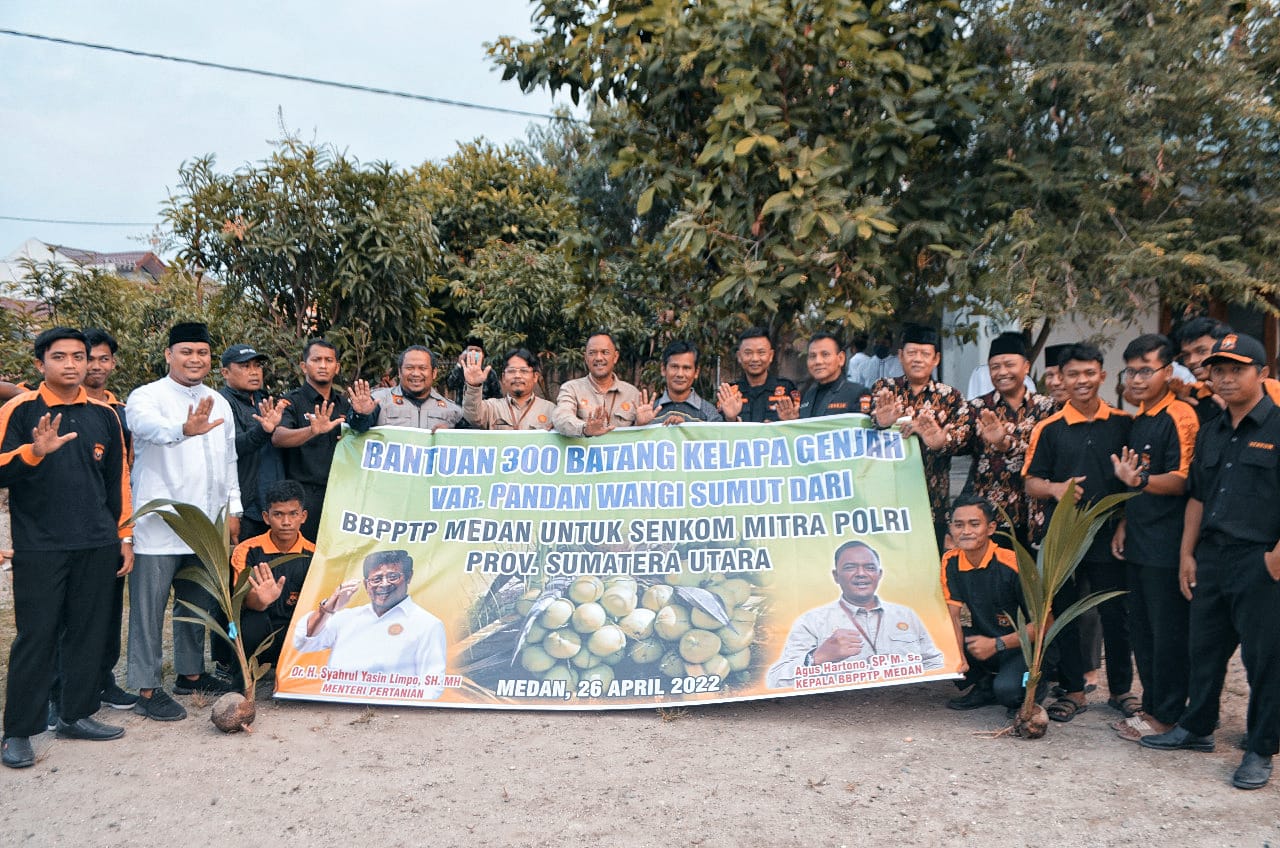 Ditjen Perkebunan Beri Bantuan Benih Kelapa Genjah Varietas Pandan Wangi