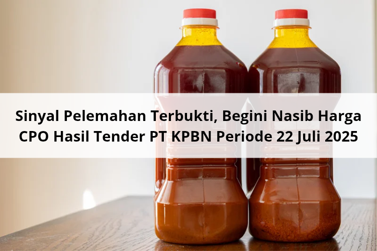 Sinyal Pelemahan Terbukti, Begini Nasib Harga CPO Hasil Tender PT KPBN Periode 22 Juli 2025