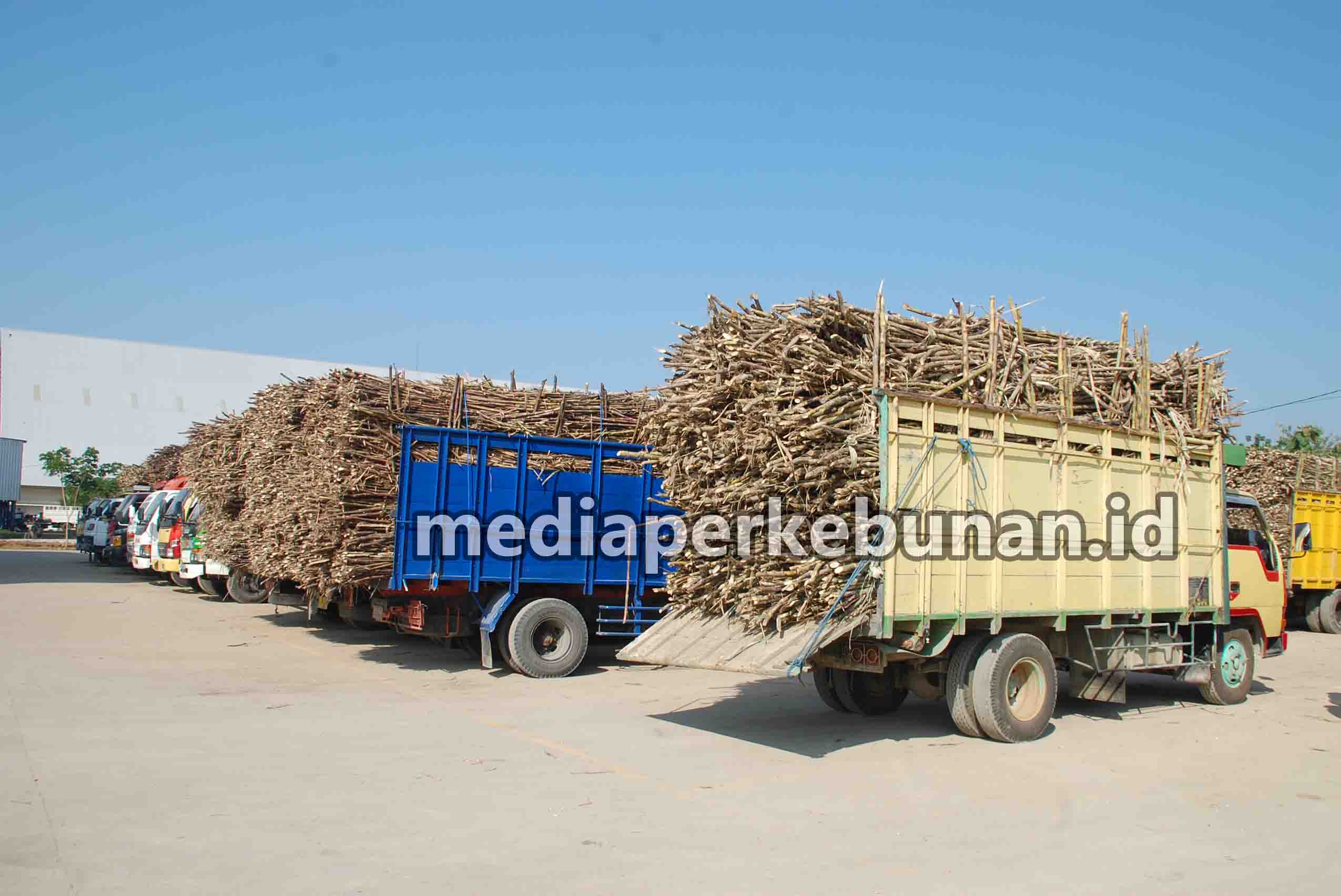 Kemitraan Dorong Produktivitas Gula Nasional