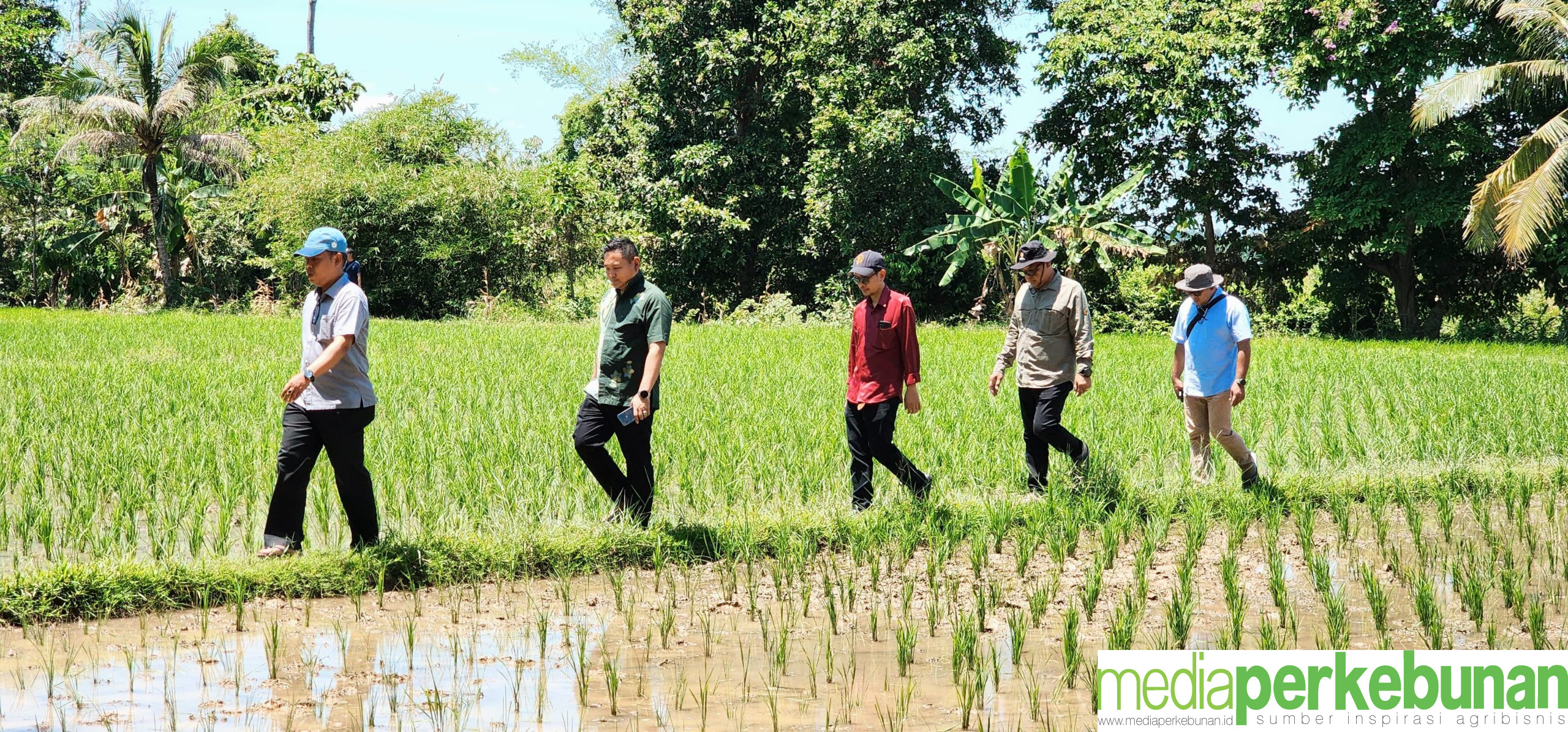 Dedikasi Kementan, Kembali Terjun Langsung Pantau Pompanisasi: Pastikan Swasembada Pangan Tercapai