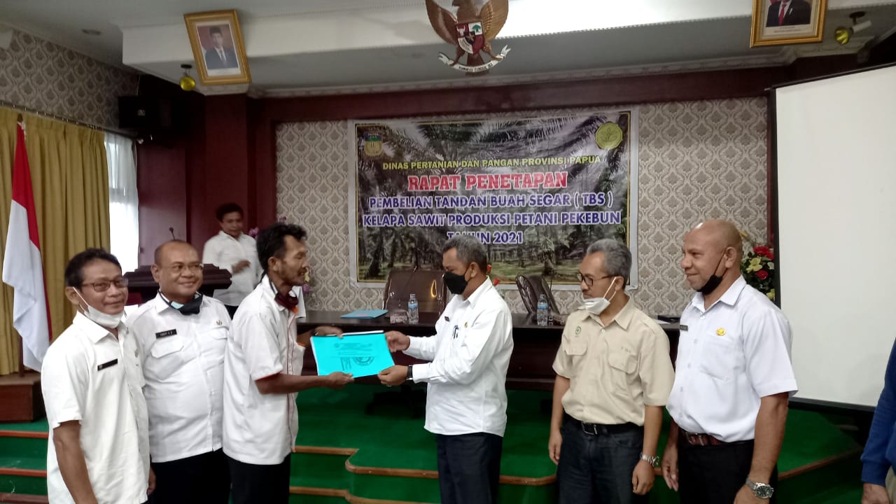 Harga Sawit Papua Rp 2.146 Per Kg