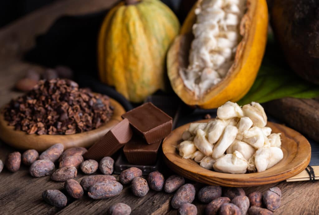 Dari Pahit ke Nikmat: Peran Mikroba pada Cokelat