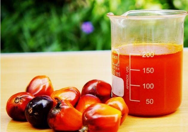 Harga CPO Masih Bertahan Tinggi
