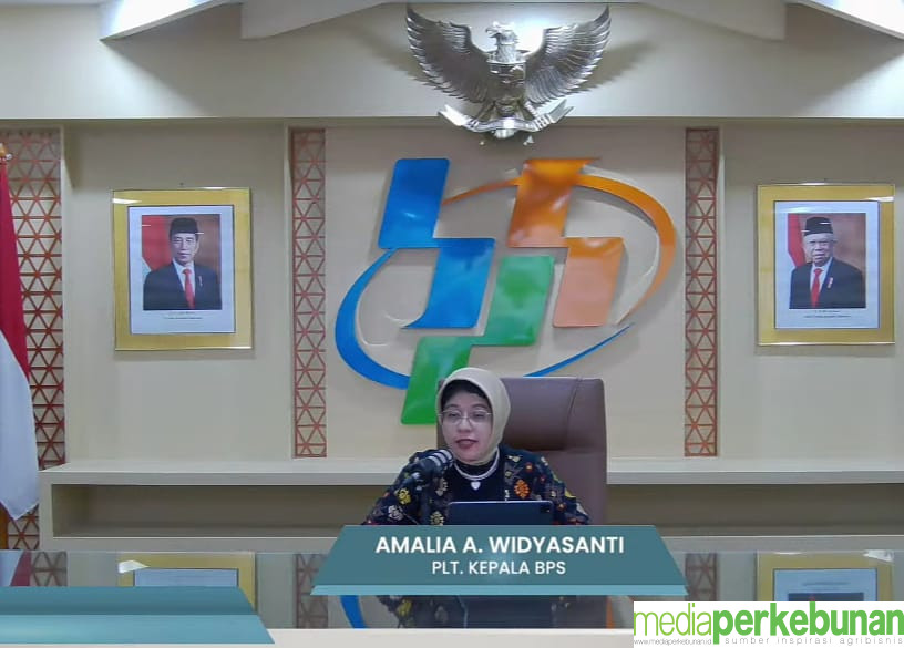 BPS : EKSPOR MINYAK SAWIT PEBRUARI 2024 TURUN, NILAI IMPOR GULA NAIK