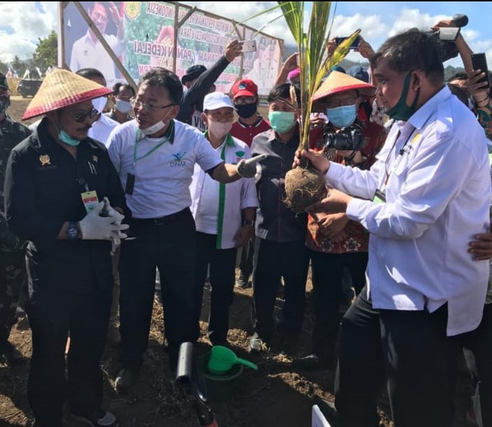 KEMENTAN DORONG PRODUKSI KELAPA,PALA,CENGKEH INTEGRASI PADI KEDELAI DI SULUT