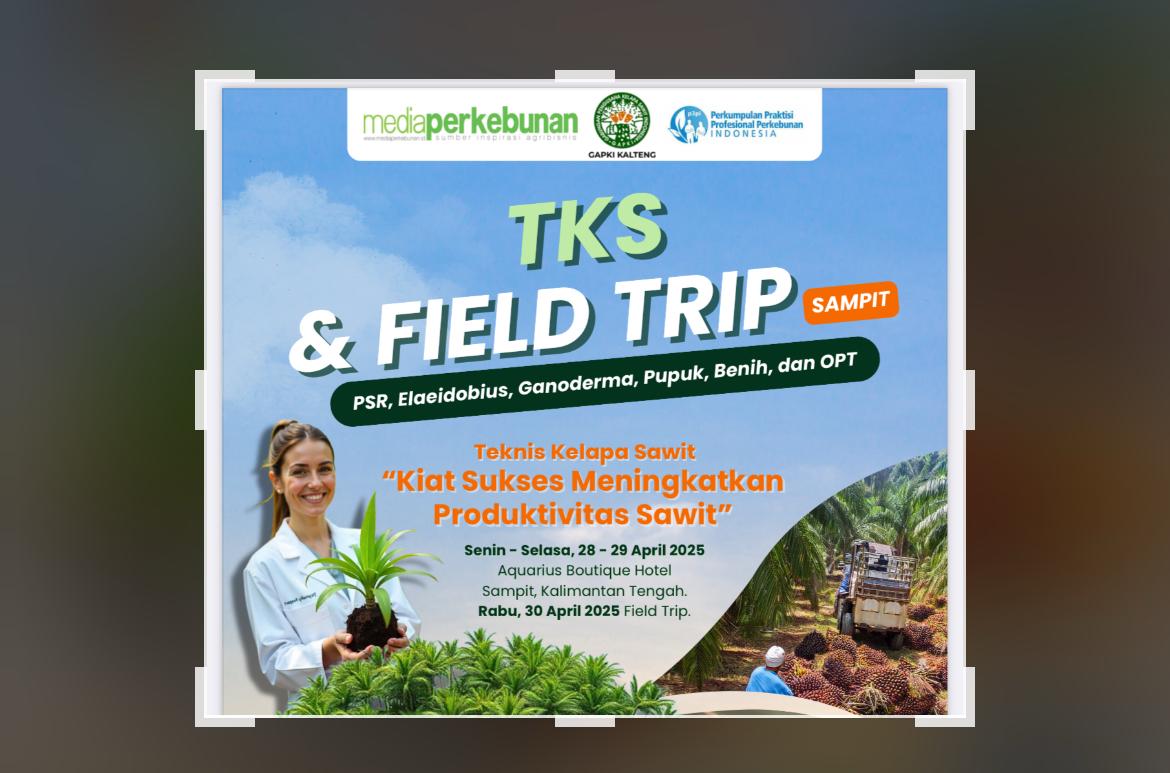 Di TKS Sampit Ada Pameran Benih Sawit Terbesar Di Kalteng, Permudah Akses Pekebun