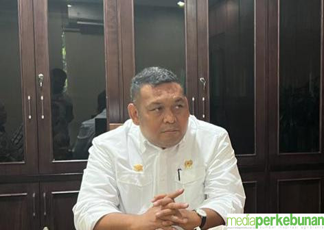 Ditjen Perkebunan Siapkan Cara Hadapi Kemarau Ekstrim
