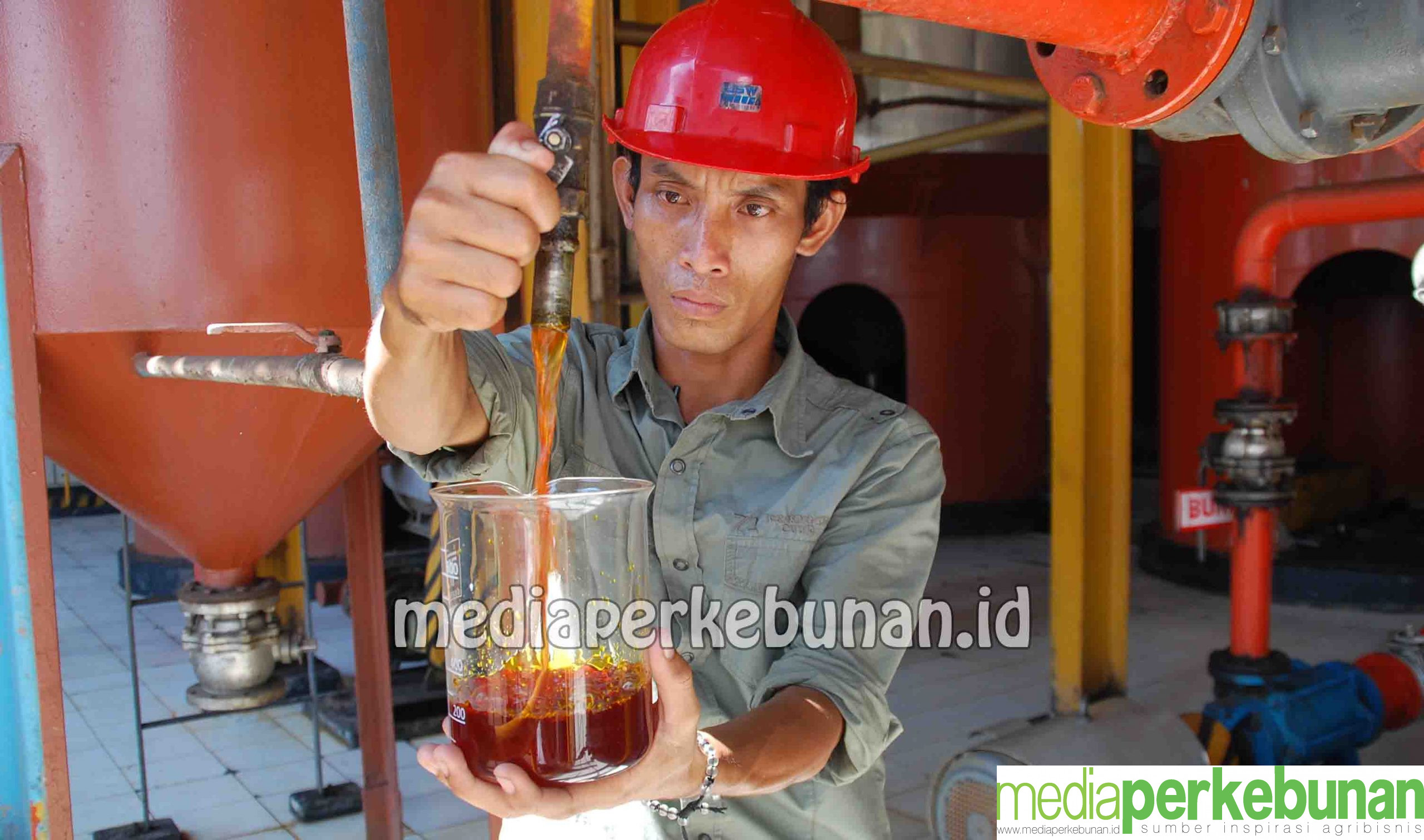 DMO dan DPO Menghambat Ekspor Sawit
