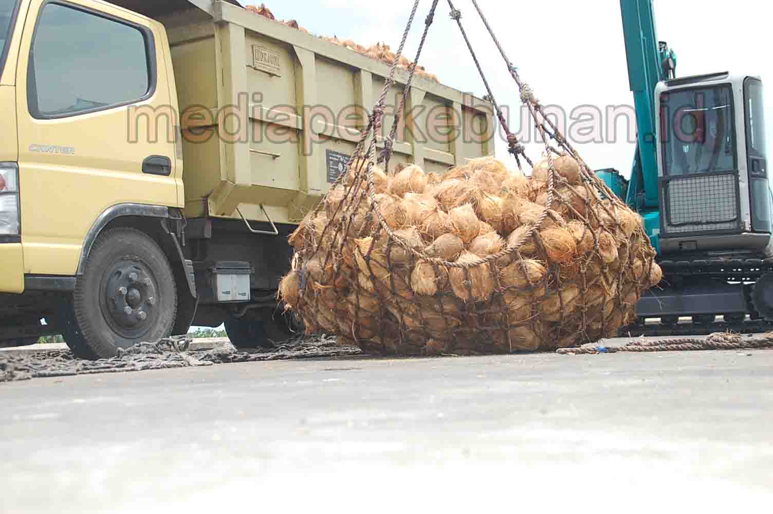 Manado Kirim Kopra Putih Tahuna ke India