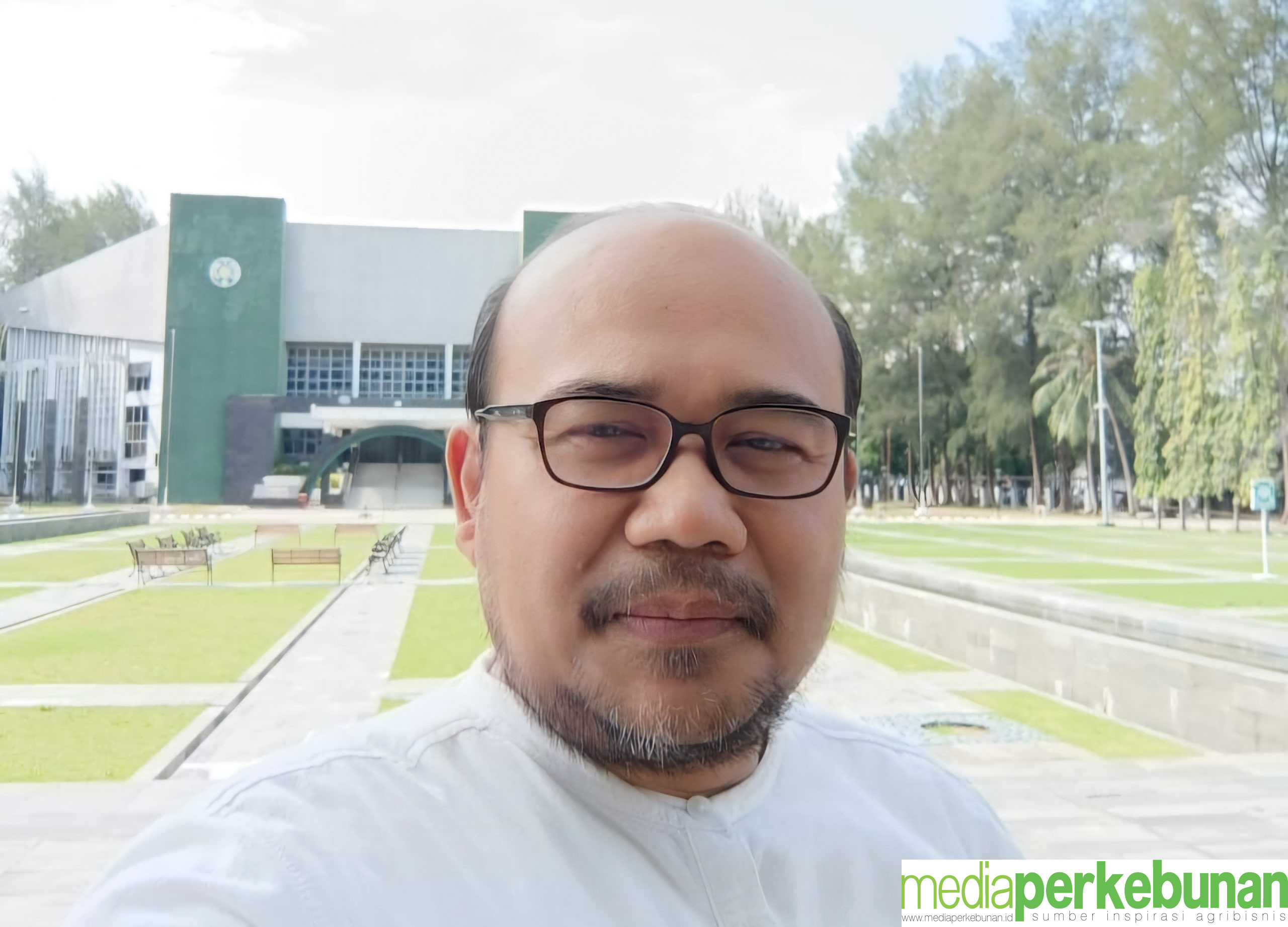 Cemas Melihat Terus Melemahnya Harga CPO