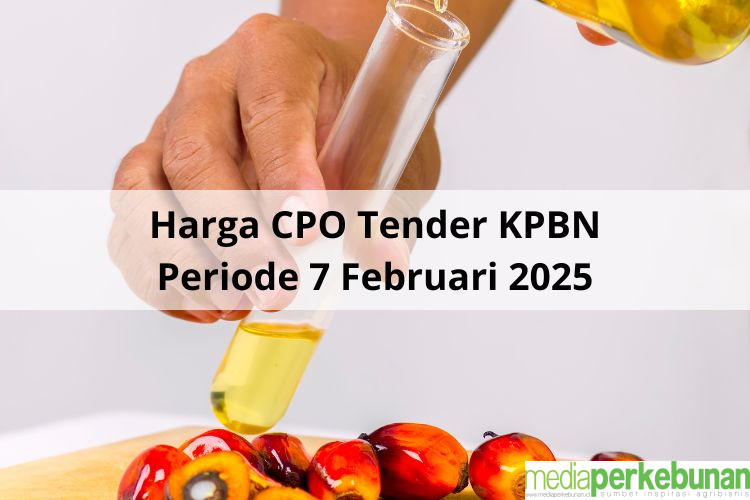 Seperti Balap F1, Harga CPO Mengebut pada Tender PT KPBN Periode 7 Februari 2025