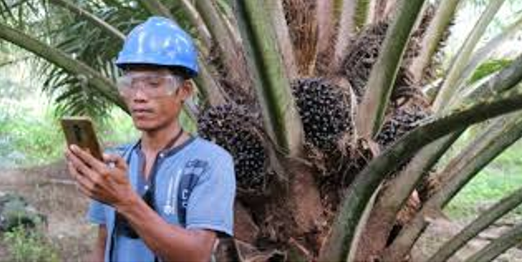 P3PI : SDM KELAPA SAWIT DALAM SOCIETY 5.0