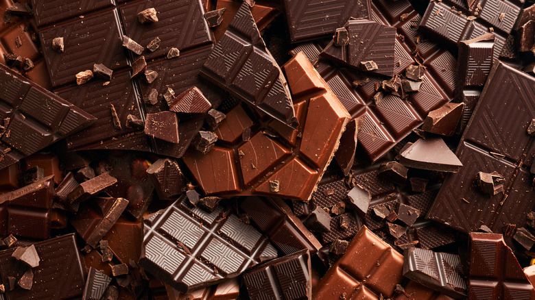 Bukan Sekadar Camilan: Cokelat Hitam Terbukti Tingkatkan Daya Ingat