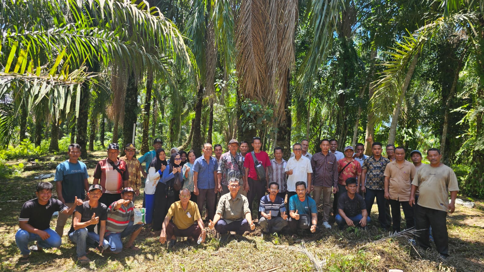 Tiga Komponen PHT Diyakini Mampu Kendalikan Ganoderma di Kebun Sawit