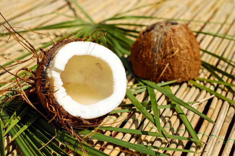 Mahalnya Harga Kelapa Bulat Terasa Sampai Kabupaten OKI