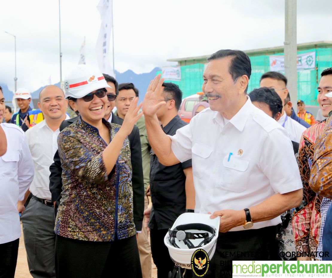 Benih Kakao Bakal Ditambah untuk Pacu Produksi