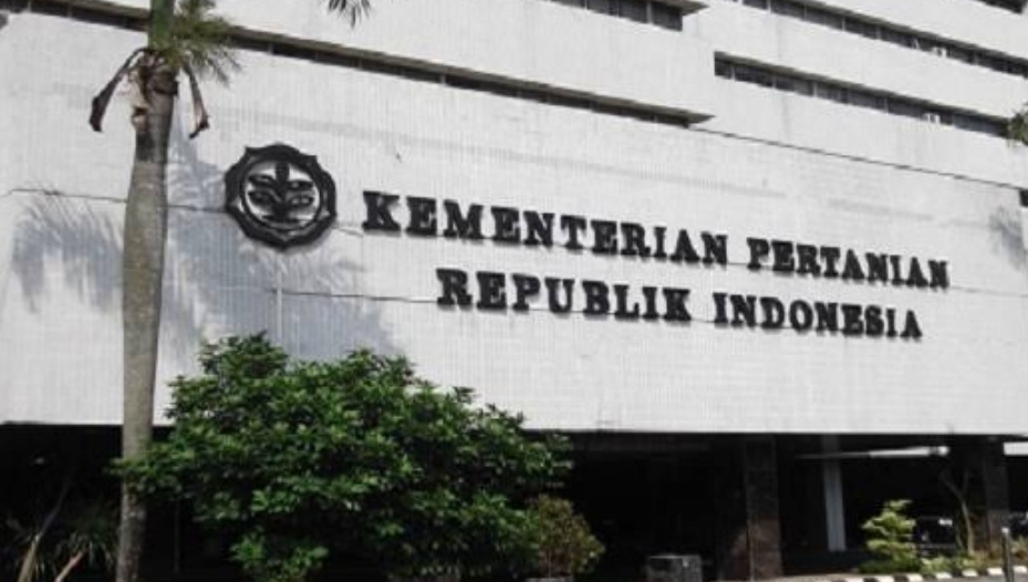 KINERJA SEKTOR PERTANIAN MENINGKAT