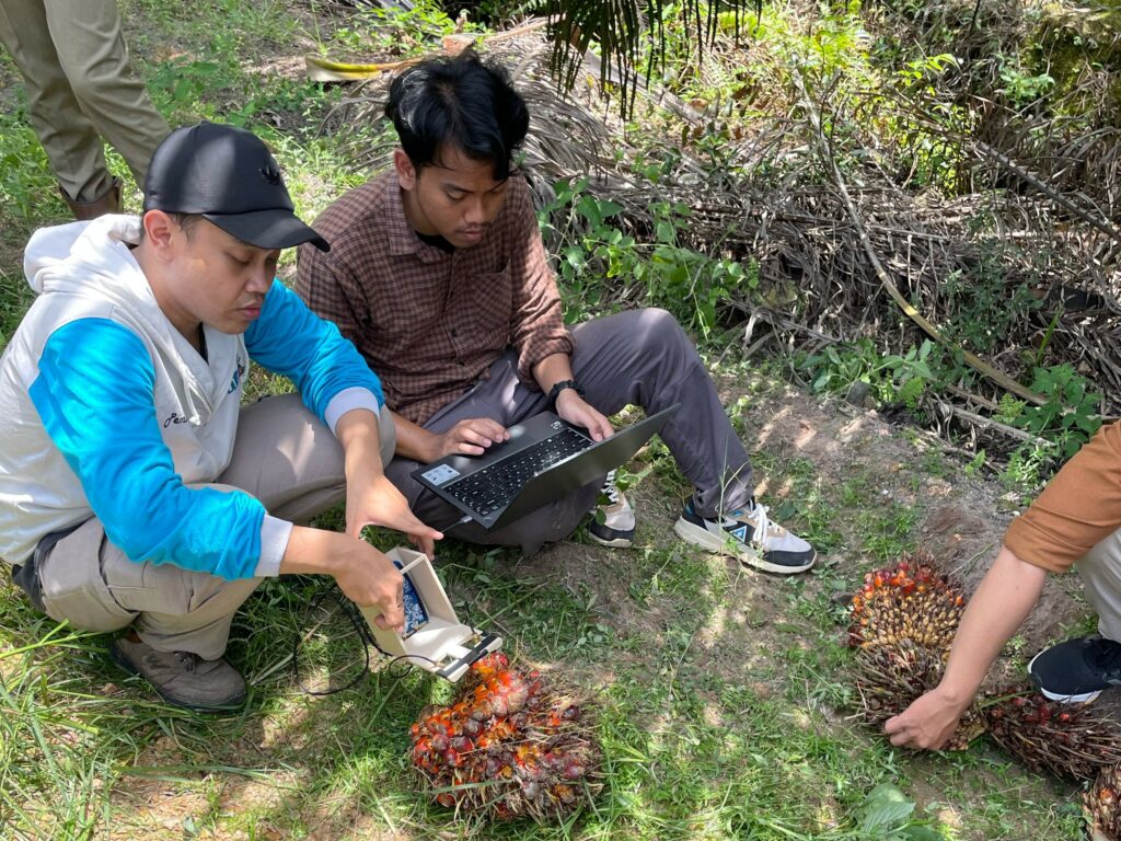 Radar Non-Kontak Bisa Deteksi Penyakit BSR pada Sawit