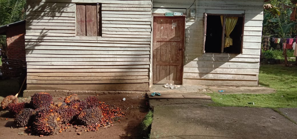 POTRET PETANI SAWIT BERDASARKAN SENSUS BPS 2013, APAKAH SEKARANG SUDAH BERUBAH ?