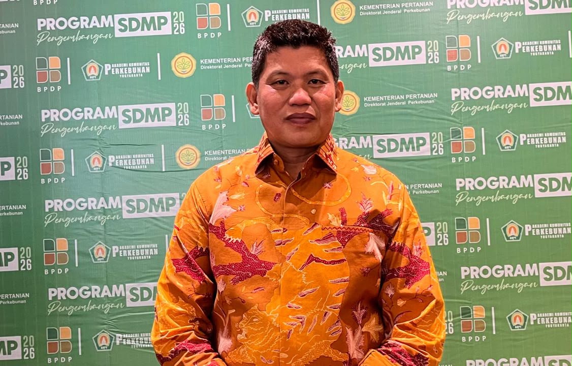Belum Tergarap Maksimal, Potensi Besar Sawit di Kabupaten Wajo Capai 30 Ribu Hektar