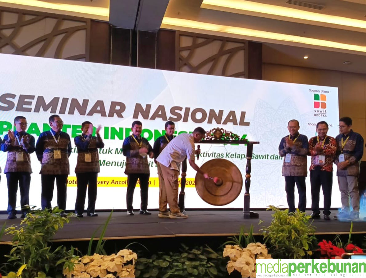 SNPI 2024 Kembali Digelar, Bahas Soal Produktivitas Kelapa Sawit